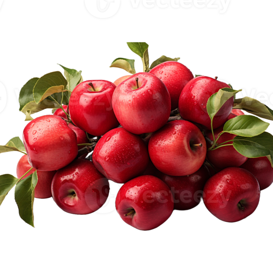 apple-ber-plants-on-transparent-background-png